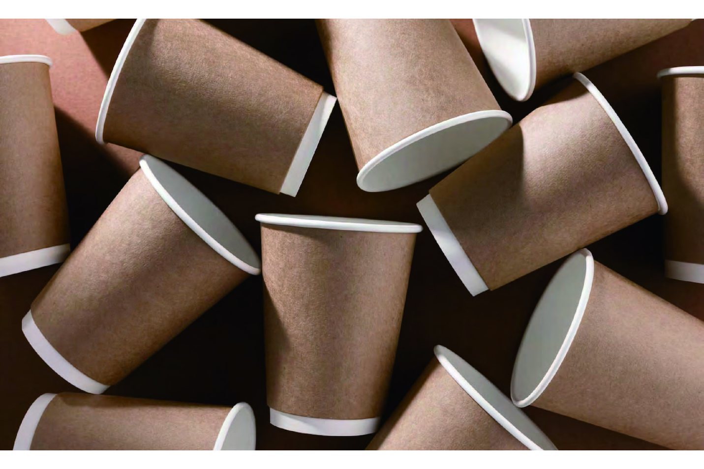 Double Wall Paper Cup